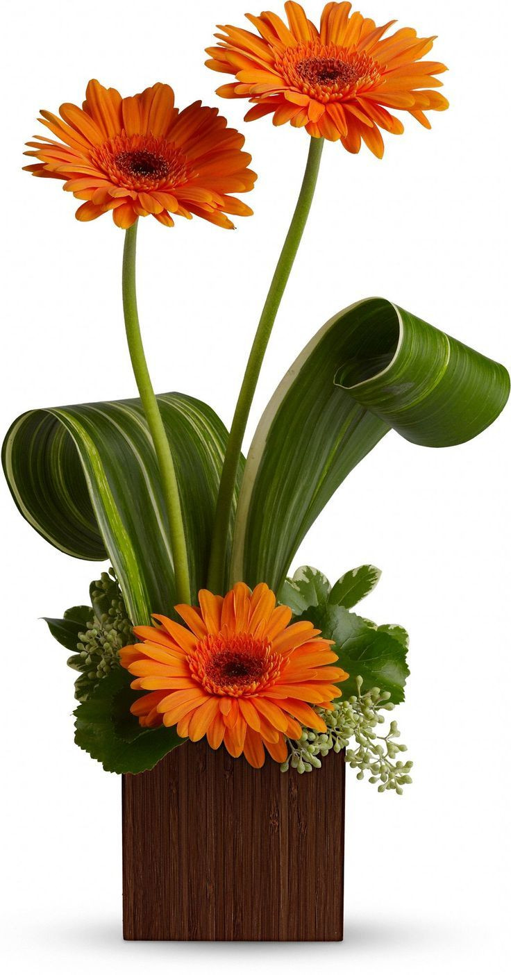 22 attractive orchid Vase Arrangement 2024 free download orchid vase arrangement of orange wedding floral arrangements with gerber daisies regarding ea0d2a5c6f4f204b0e1a084ca992bed2 modern wedding flowers modern flower arrangements