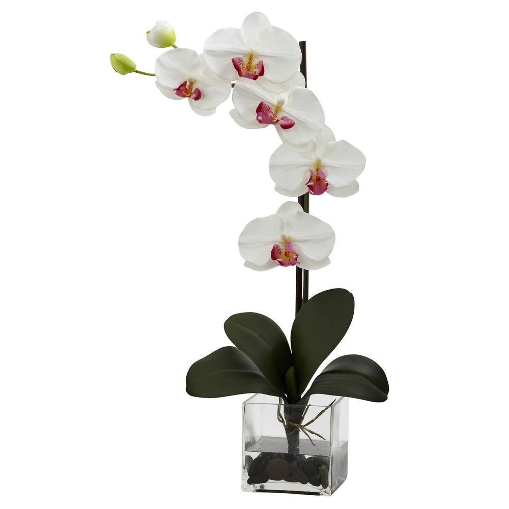 22 attractive orchid Vase Arrangement 2024 free download orchid vase arrangement of orchid arrangements in tall vases sevenstonesinc com throughout nearly natural giant phalaenopsis orchid with vase arrangement in