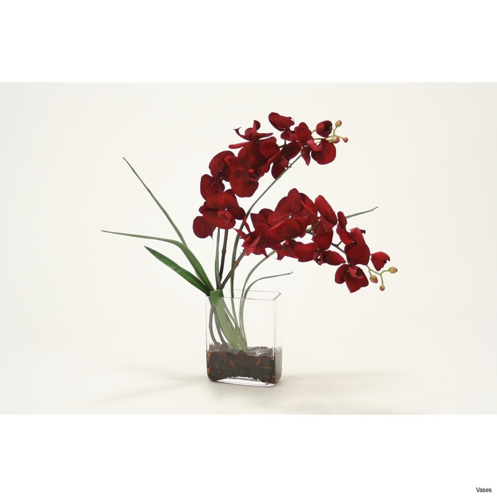 22 attractive orchid Vase Arrangement 2024 free download orchid vase arrangement of tall red vase pics zoom vases orchid in a vase give this tall for within tall red vase pics zoom vases orchid in a vase give this tall for any occasion i 0d