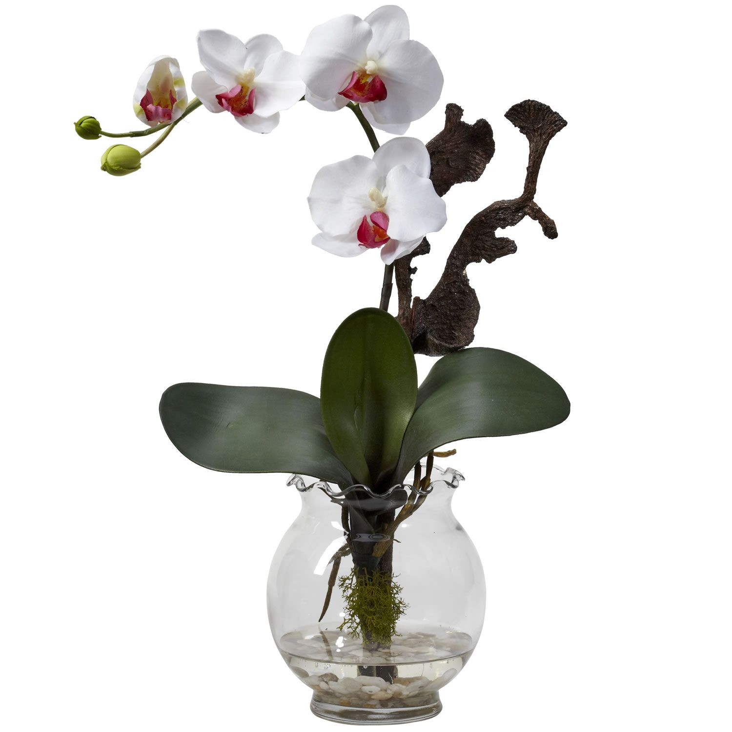 16 Fashionable orchid Vase 2024 free download orchid vase of attention mini phalaenopsis w fluted vase silk flower arrangement throughout attention mini phalaenopsis w fluted vase silk flower arrangement white