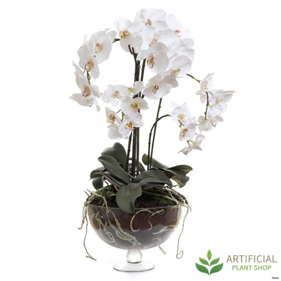 16 Fashionable orchid Vase 2024 free download orchid vase of best silk flowers san diego image collection throughout artificial bloom white artificial flowers excellent zoom vases orchids in a vase dendrobium orchid san diego diegoi 0d