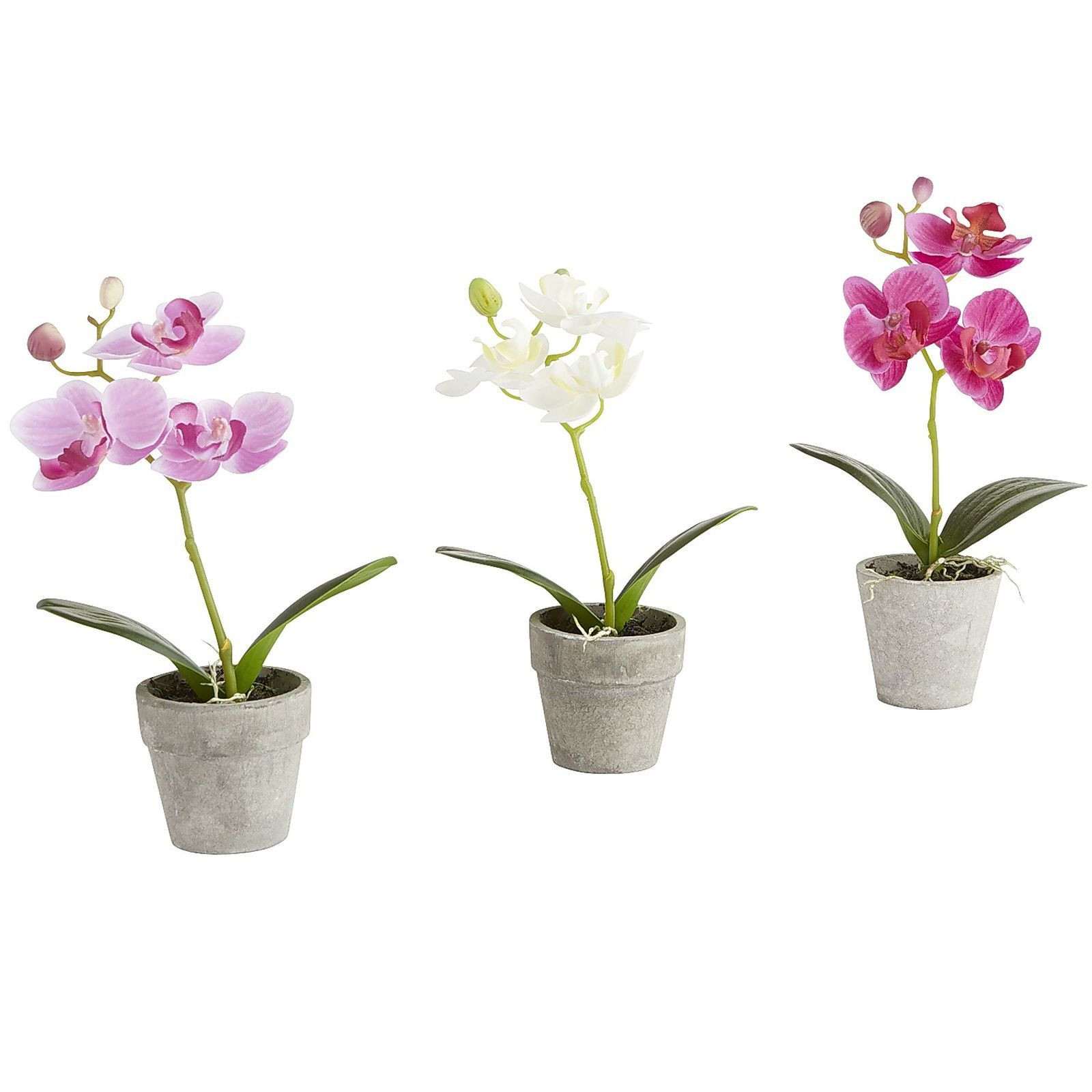 21 Cute Pier One Large Vases 2024 free download pier one large vases of pier 1 imports faux mini potted orchid set on sale for 14 88 home with pier 1 imports faux mini potted orchid set on sale for 14 88