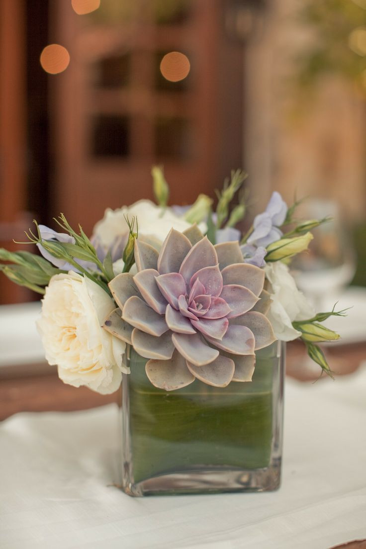 14 Stylish Pilsner Vase Centerpiece Ideas 2024 free download pilsner vase centerpiece ideas of 89 best wedding decor images on pinterest flower arrangements with carmel valley wedding from carlie statsky photography succulent centerpiecessquare vase