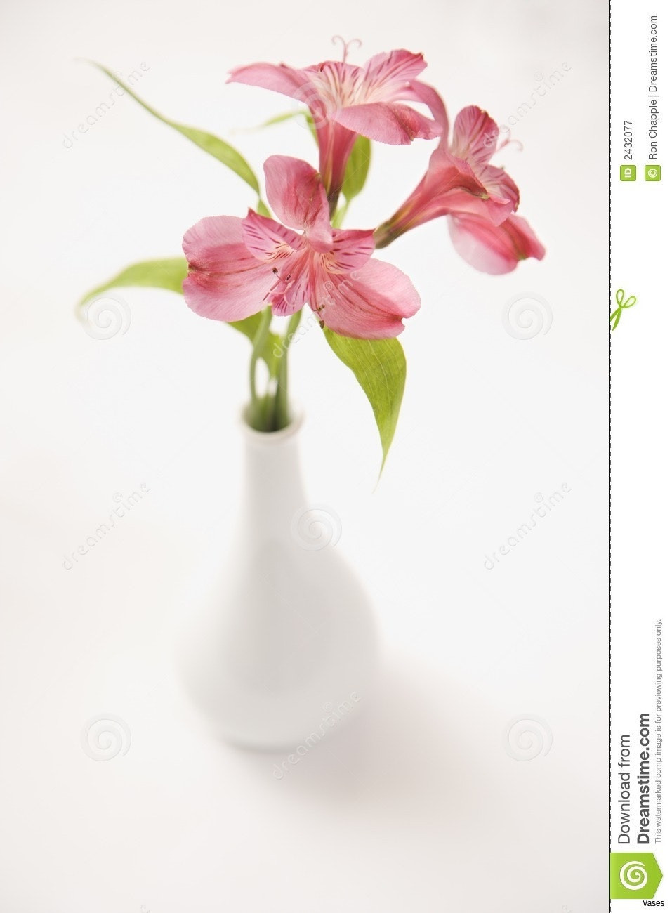 30 attractive Pink Flowers In Vase 2024 free download pink flowers in vase of 27 unique flower border ideas pictures flower decoration ideas pertaining to flower border ideas pictures awesome vase clipart flower 19h vases a with flowers pin 12i