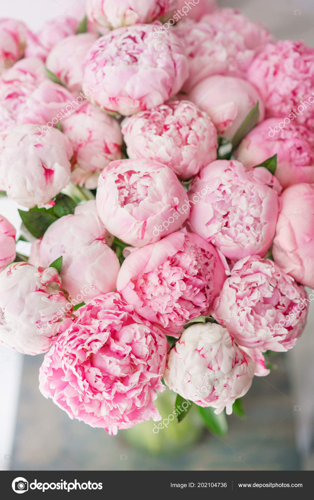 10 Wonderful Pink Peonies In Glass Vase 2024 free download pink peonies in glass vase of beautiful bouquet of pink peonies floral composition daylight for beautiful bouquet of pink peonies floral composition daylight wallpaper lovely flowers in