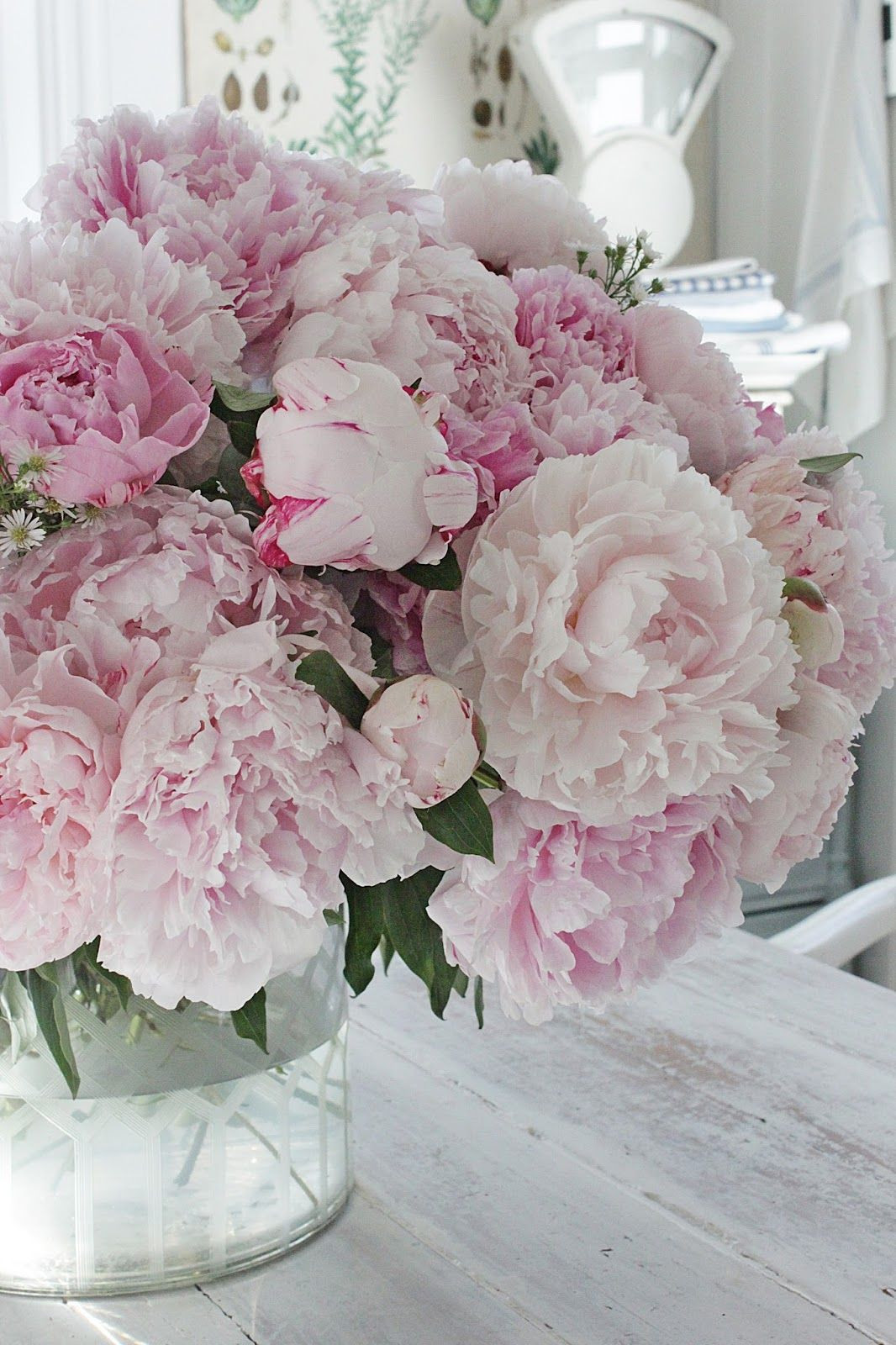 10 Wonderful Pink Peonies In Glass Vase 2024 free download pink peonies in glass vase of pin by dc29fc28dc282christina mariedc29fc28dc282 on french country cottge pinterest with regard to discover ideas about flowers garden quenalbertini flowers i