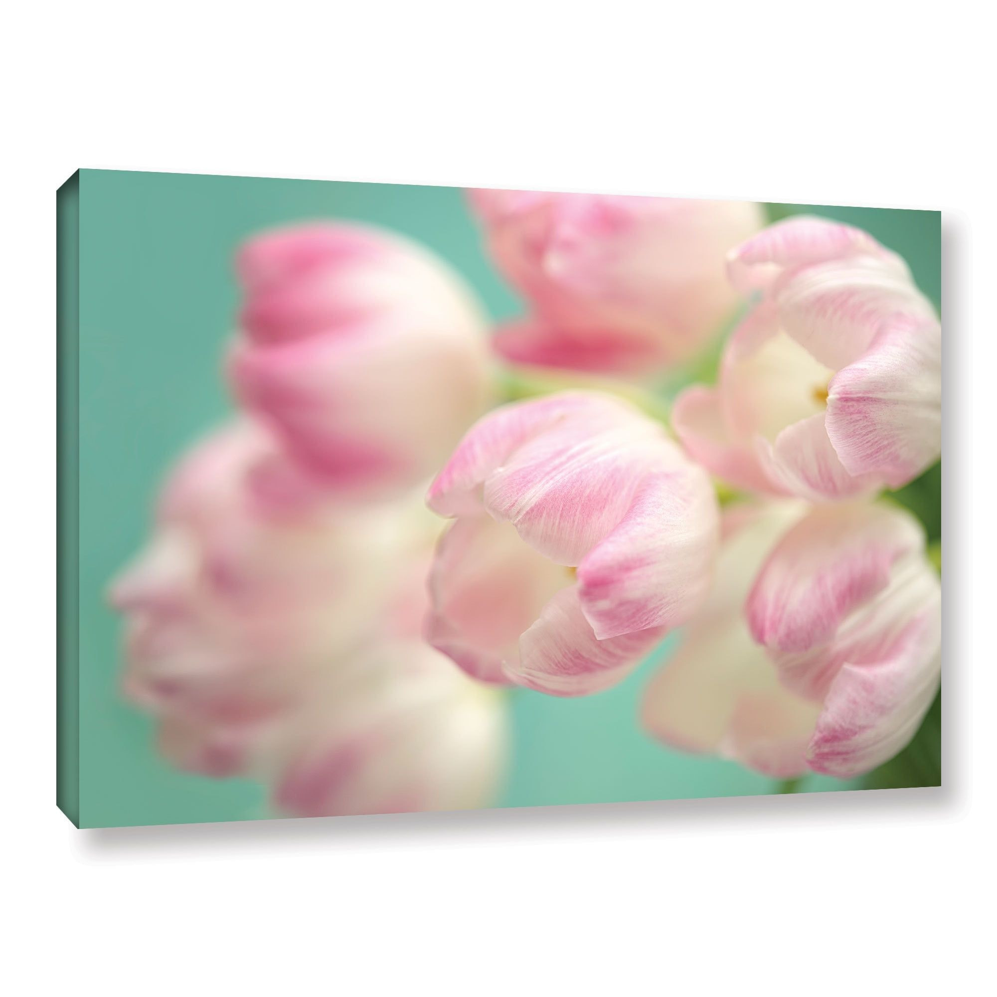 14 Stylish Pink Tulip Vase 2024 free download pink tulip vase of cora nieles white pink tulips gallery wrapped canvas by artwall pertaining to artwall cora nieles pink tulips gallery wrapped canvas