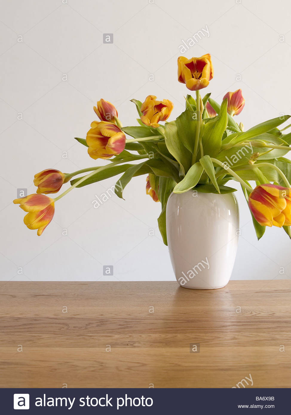 14 Stylish Pink Tulip Vase 2024 free download pink tulip vase of engaging table with vase 11 of daffodils xmlserving com in furniture alluring table with vase 20 wilts wood flower tulip bouquet yellow red flowers ba6x9b engaging