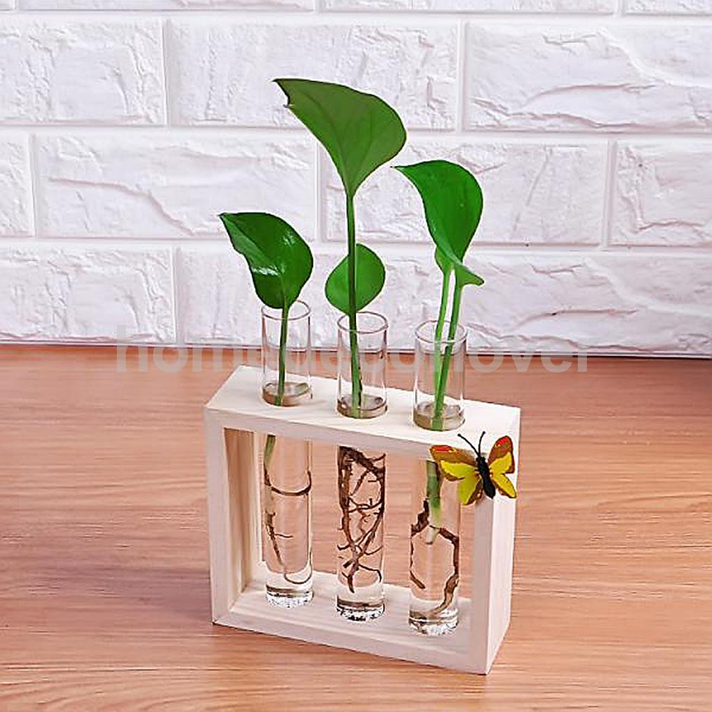 15 Lovable Plant Pot Vase 2024 free download plant pot vase of crystal glass test tube vase in wooden stand flower pots for regarding aeproduct getsubject