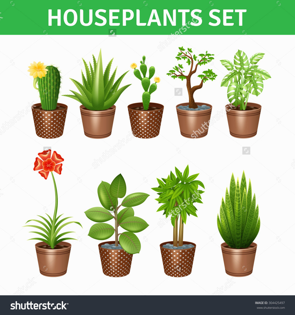 30 Perfect Plant Vase Home Depot 2024 free download plant vase home depot of 9 best of home depot flower pots graphics best roses flower regarding fresh house plant stock vectors vector clip art shutterstock houseplants of 9 best of home depo