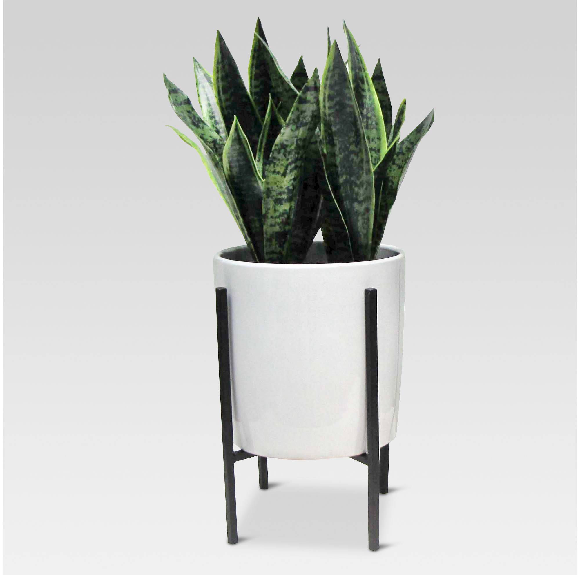 30 Perfect Plant Vase Home Depot 2024 free download plant vase home depot of the 7 best fake plants to buy in 2018 throughout artificial plant in stand large project 62ac284c2a2