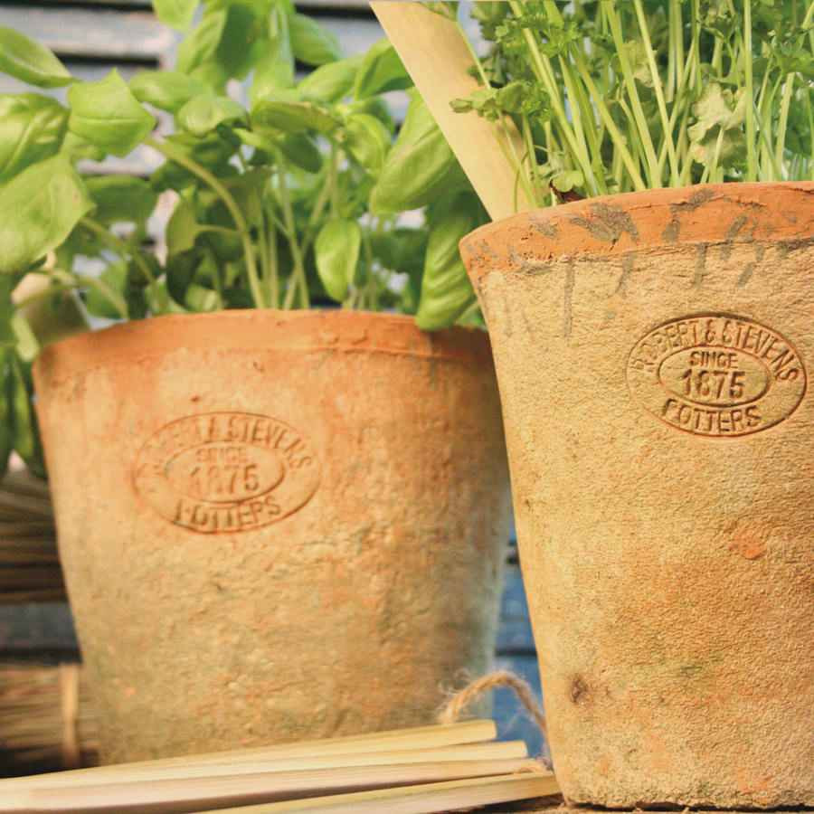 15 Fabulous Plant Vases Walmart 2024 free download plant vases walmart of lovely clay pots for plants plant directory inside set terracotta plant pots