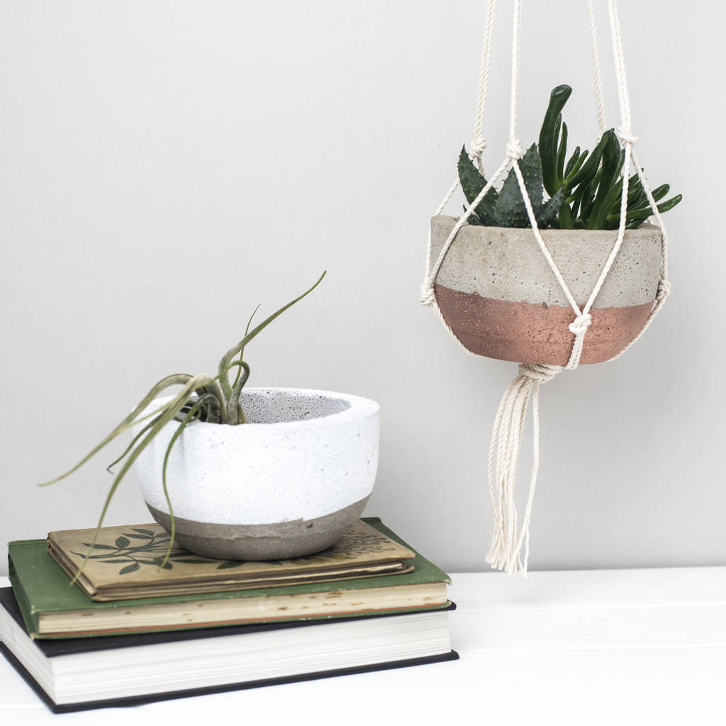 16 attractive Planter Vase with Stand 2024 free download planter vase with stand of concrete bowl planter by bells and whistles make throughout white and copper