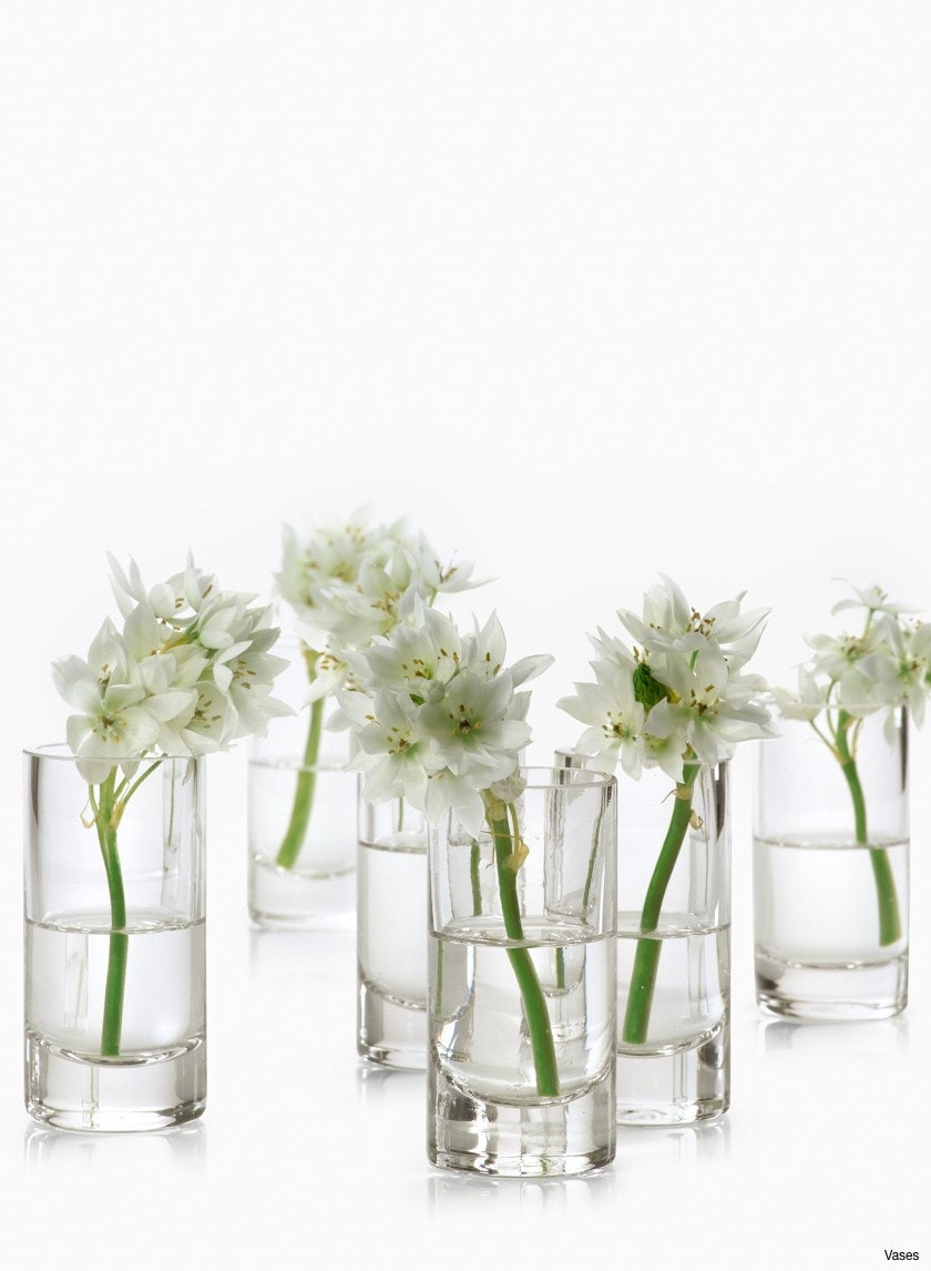 24 Stunning Plastic Bottle Vase Design 2024 free download plastic bottle vase design of clear bud vases gallery 5 flower image new plastic bud vases 3 1473a in clear bud vases collection h vases small clear 3200 24 cafe collection bud 24piecesi 0d 