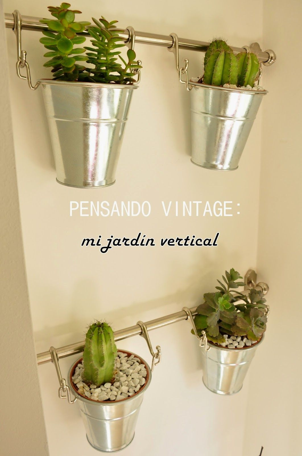 20 attractive Plastic Vase Liners 2024 free download plastic vase liners of pensando vintage restauraciac2b3n hacer jardac2adn vertical en interior in pensando vintage restauraciac2b3n