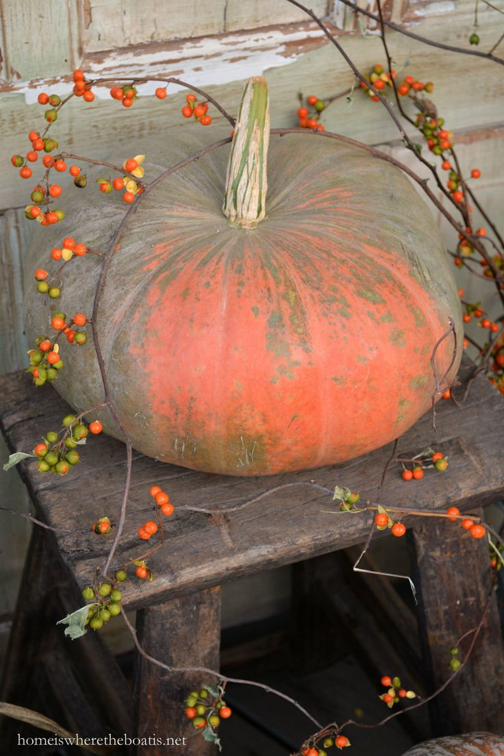 22 Recommended Pumpkin Vase Filler 2024 free download pumpkin vase filler of 334 best fall images on pinterest hamper above kitchen cabinets with chalking it up autumn the years last loveliest smile