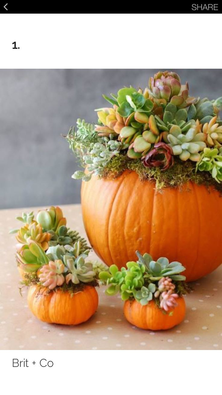 29 Stylish Pumpkin Vases Centerpiece 2024 free download pumpkin vases centerpiece of 16 best fun ideas images on pinterest decorating ideas floral for 27 diy fall centerpiece ideas to pumpkin spice up your decor