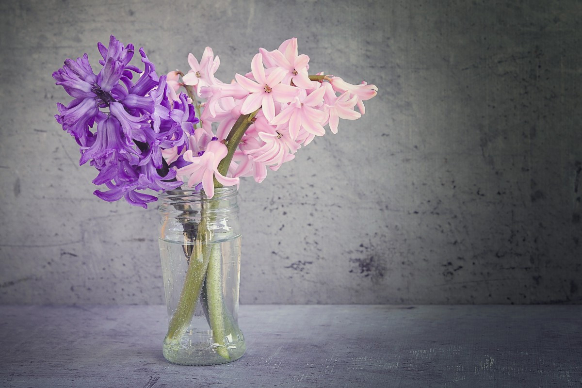 25 Spectacular Purple Cut Glass Vase 2024 free download purple cut glass vase of free images glass vase blue pink close deco negative space regarding blossom plant white flower purple glass