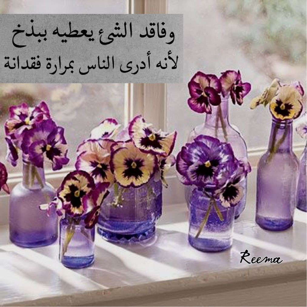 25 Spectacular Purple Cut Glass Vase 2024 free download purple cut glass vase of pin by sirine on oc2a7oc2adoc2b3oc2a7oc2b3uc28a pinterest quotation regarding quotation