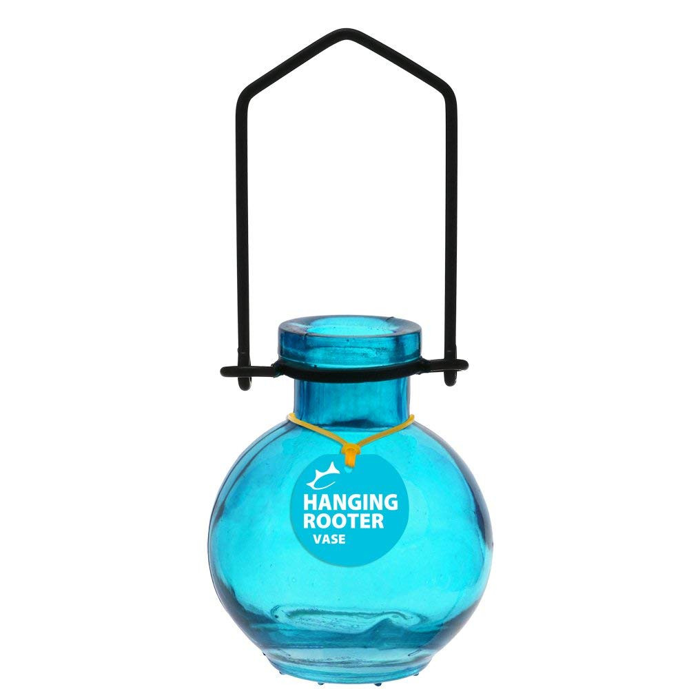 18 Stylish Recycled Glass Vase Blue 2024 free download recycled glass vase blue of amazon com couronne company m370 6545g01 hanging small ball with amazon com couronne company m370 6545g01 hanging small ball recycled glass rooting vase 6 1 4 lim