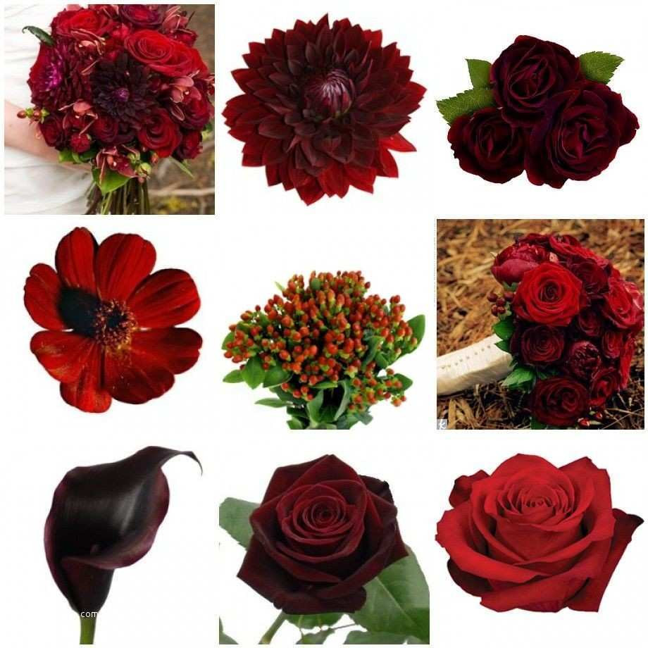 29 Famous Red Bud Vase 2024 free download red bud vase of inspiration types of bouquet flowers from h vases bud vase flower for royal types of bouquet flowers and flower power pinterest