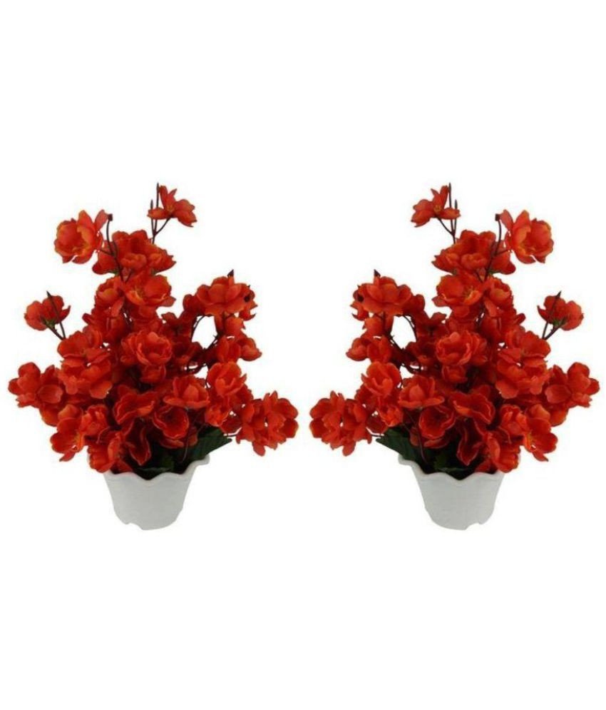 15 Trendy Red Flower Vases for Sale 2024 free download red flower vases for sale of miro orchids flowers with pot red pack of 1 buy miro orchids pertaining to miro orchids flowers with pot red pack of 1