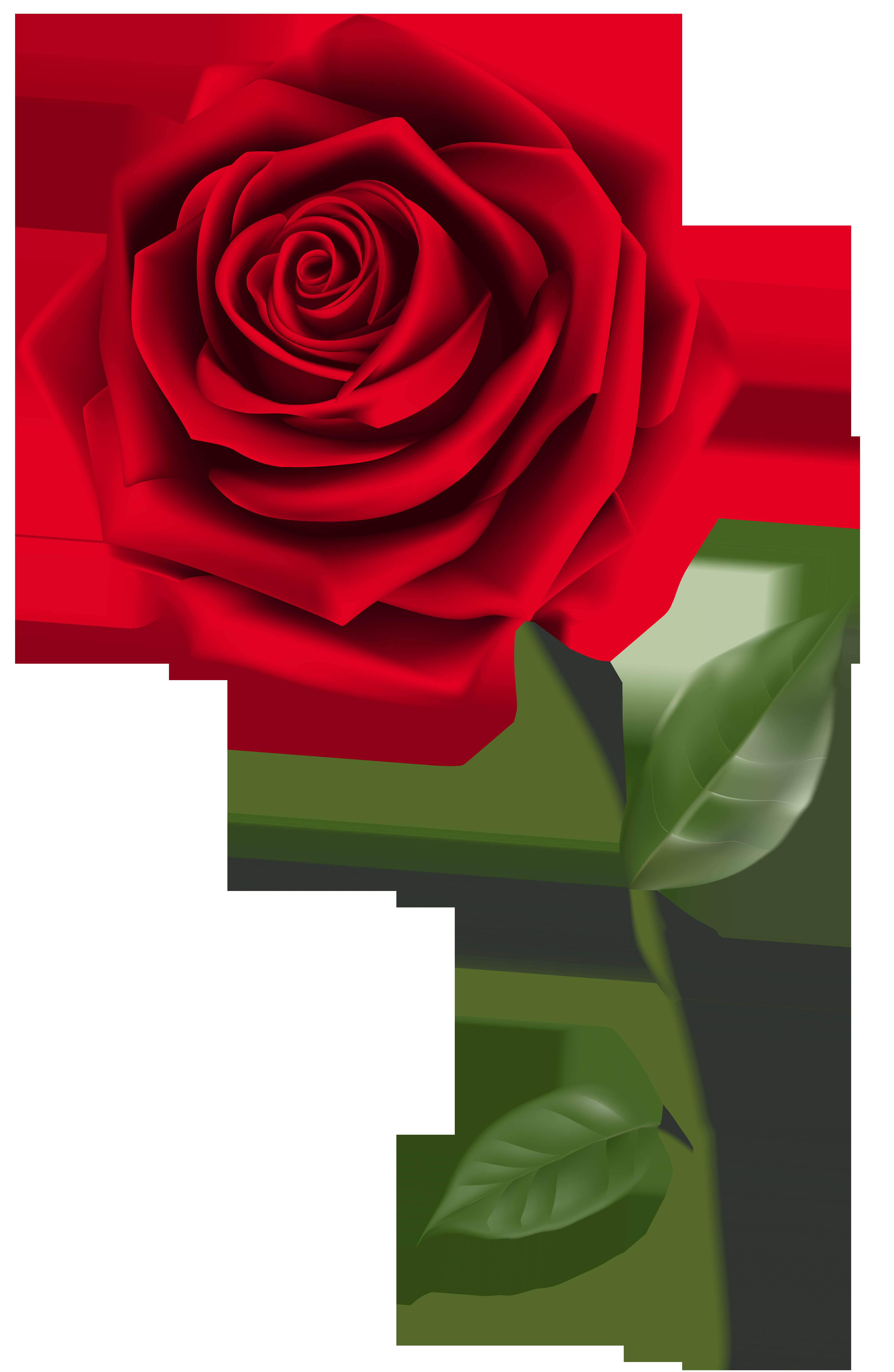 29 Best Red Roses In Gold Vase 2024 free download red roses in gold vase of pin by lucky tusk co on roses pinterest red roses single red for pin by lucky tusk co on roses pinterest red roses single red rose and red rose png