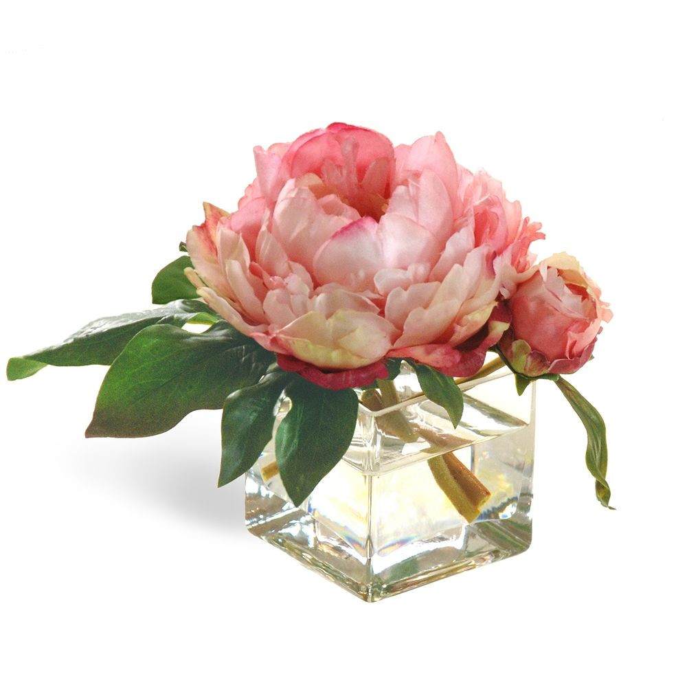 12 Best Roses In Square Vase 2024 free download roses in square vase of peony blossoms in square glass vase 8 tall pink peony and flowers regarding this peony bud and peony blossom are quite comfortably located in this classic square vase