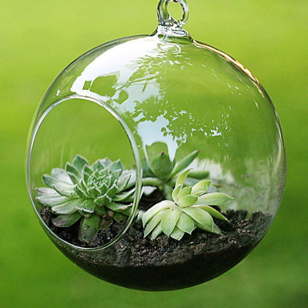 20 Stylish Round Clear Glass Vase 2024 free download round clear glass vase of fashion transparent clear glass round terrarium flower plant stand intended for fashion transparent clear glass round terrarium flower plant stand hanging vase hydr