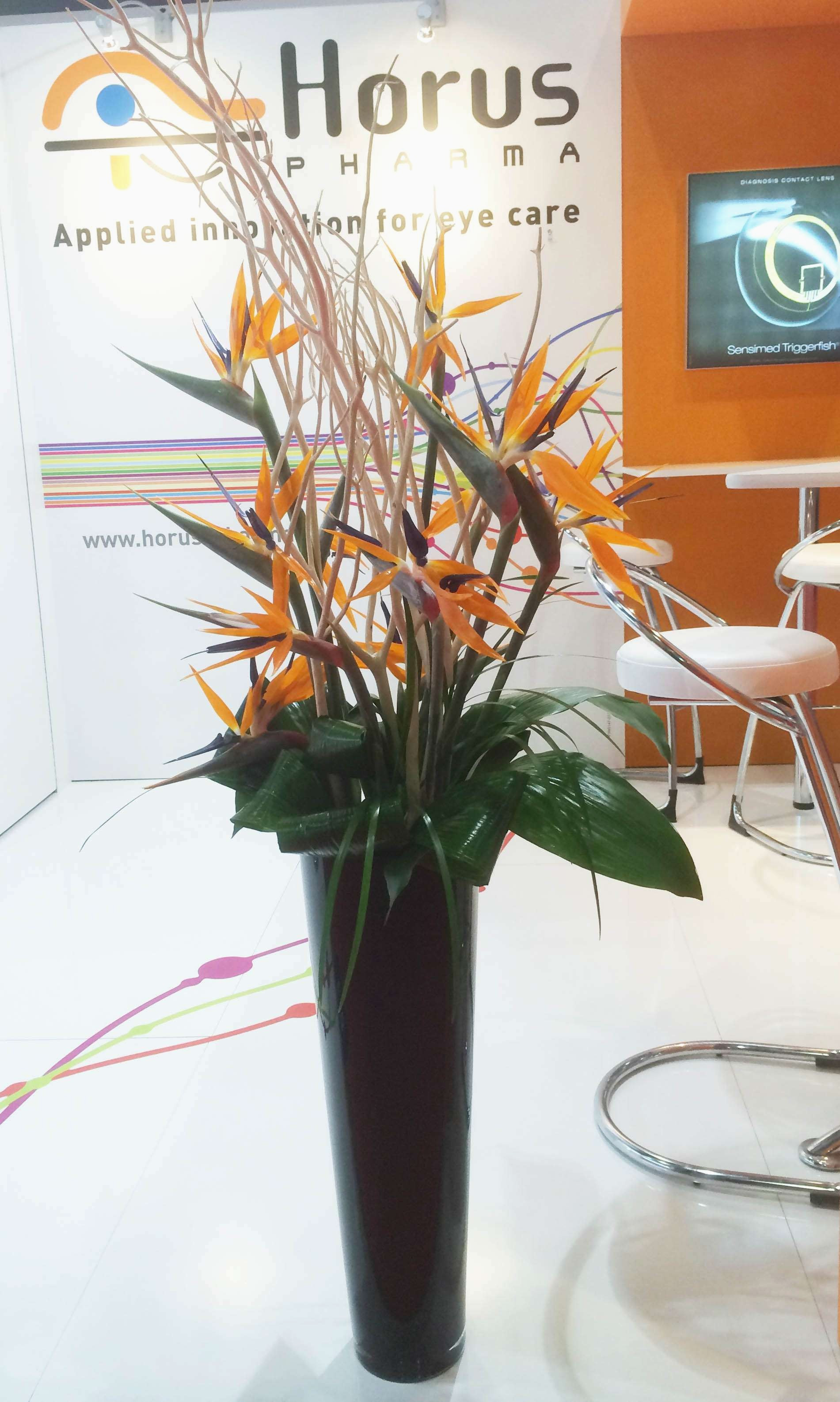 30 Best Round Flower Vase 2024 free download round flower vase of flower arrangement for dining table interesting 2 od orange bird for flower arrangement for dining table interesting 2 od orange bird paradise twig foliage in black vase