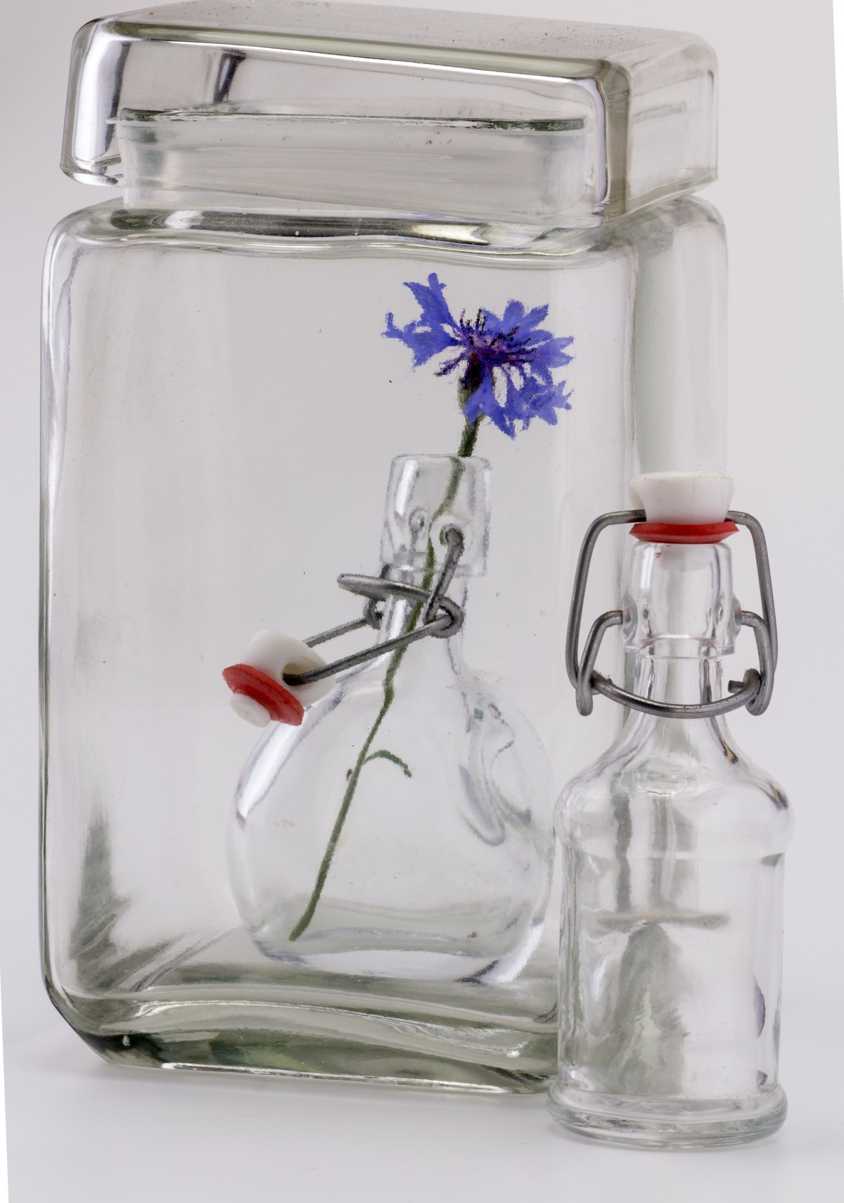 17 Best Scandinavian Glass Vase 2024 free download scandinavian glass vase of free images flower cup vase lighting still life tableware inside flower glass bottle still life tableware glass bottle