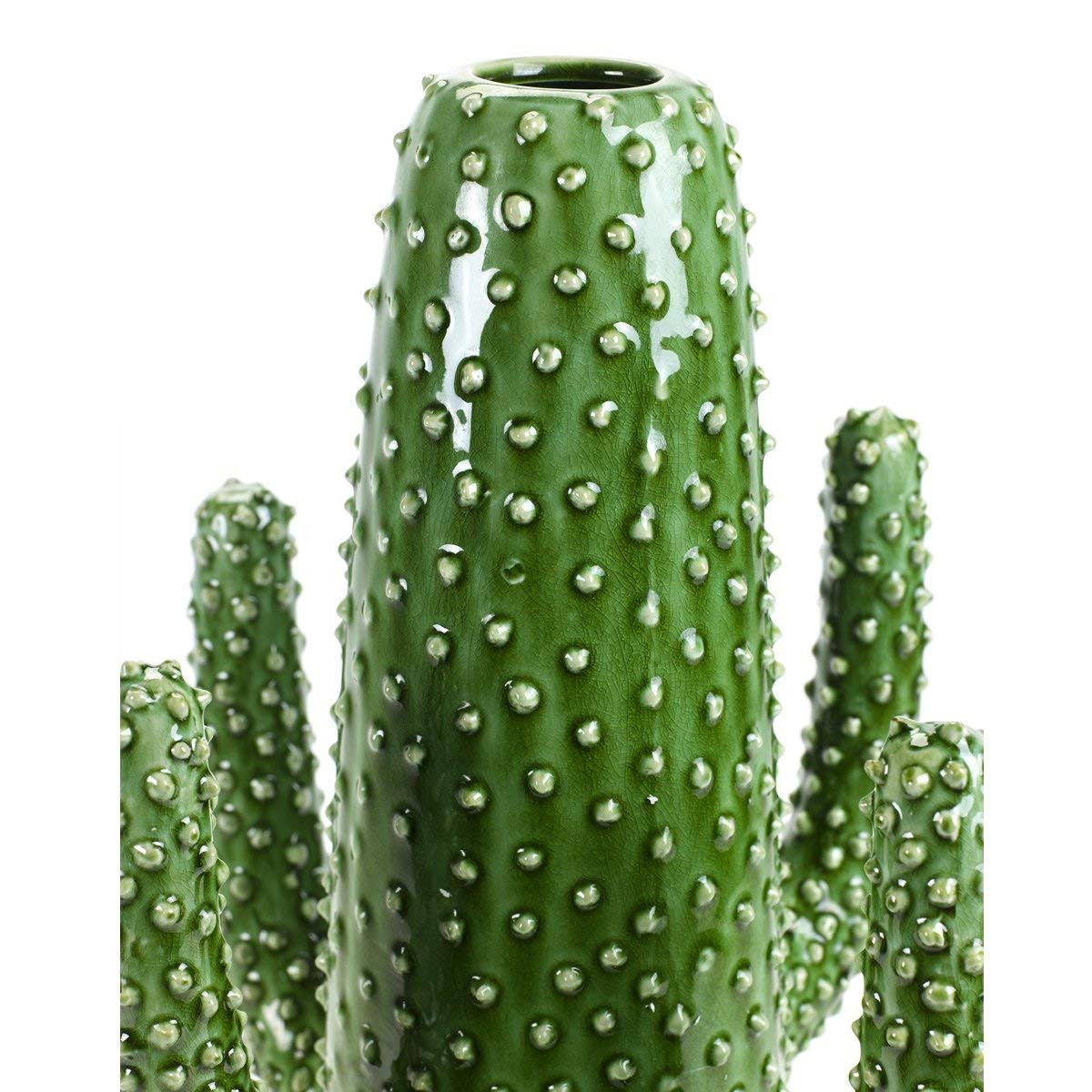 10 Elegant Serax Cactus Vase 2024 free download serax cactus vase of serax vase daco design cactus amazon fr cuisine maison in 71xv0o8lhvl sl1200