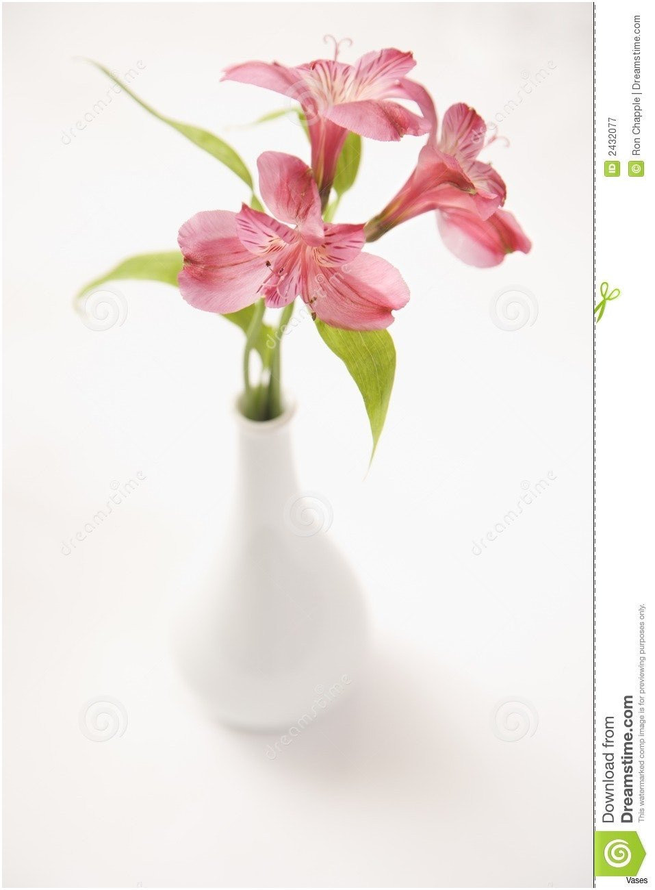 20 Perfect Short Cylinder Vase 2024 free download short cylinder vase of 19 inspirational flowers for small round vases pertaining to bridal flowers incredible vase clipart flower 19h vases a with flowers pin 12i 0d curtain 957