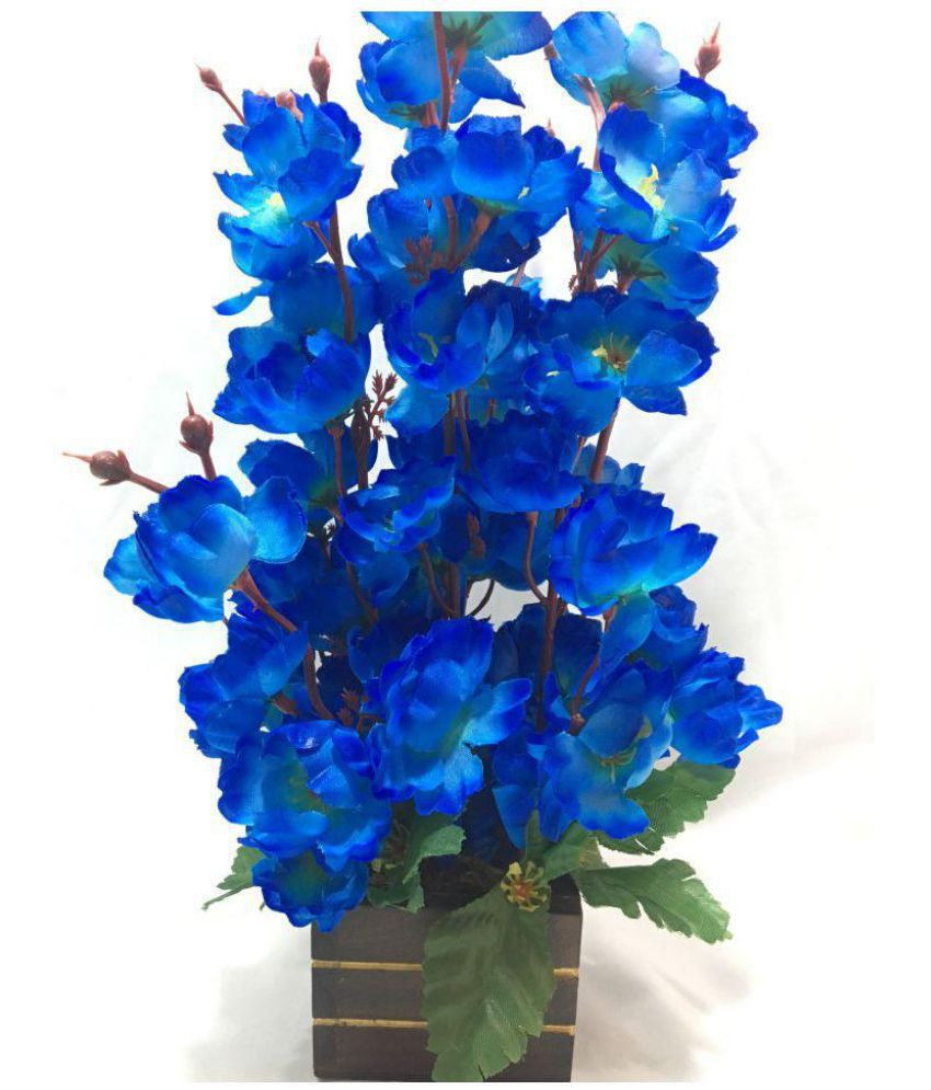 14 Fantastic Silver Vase orchid Care 2024 free download silver vase orchid care of badshah craftsvilla orchids blue flowers with pot pack of 1 buy pertaining to badshah craftsvilla orchids blue flowers with pot pack of 1