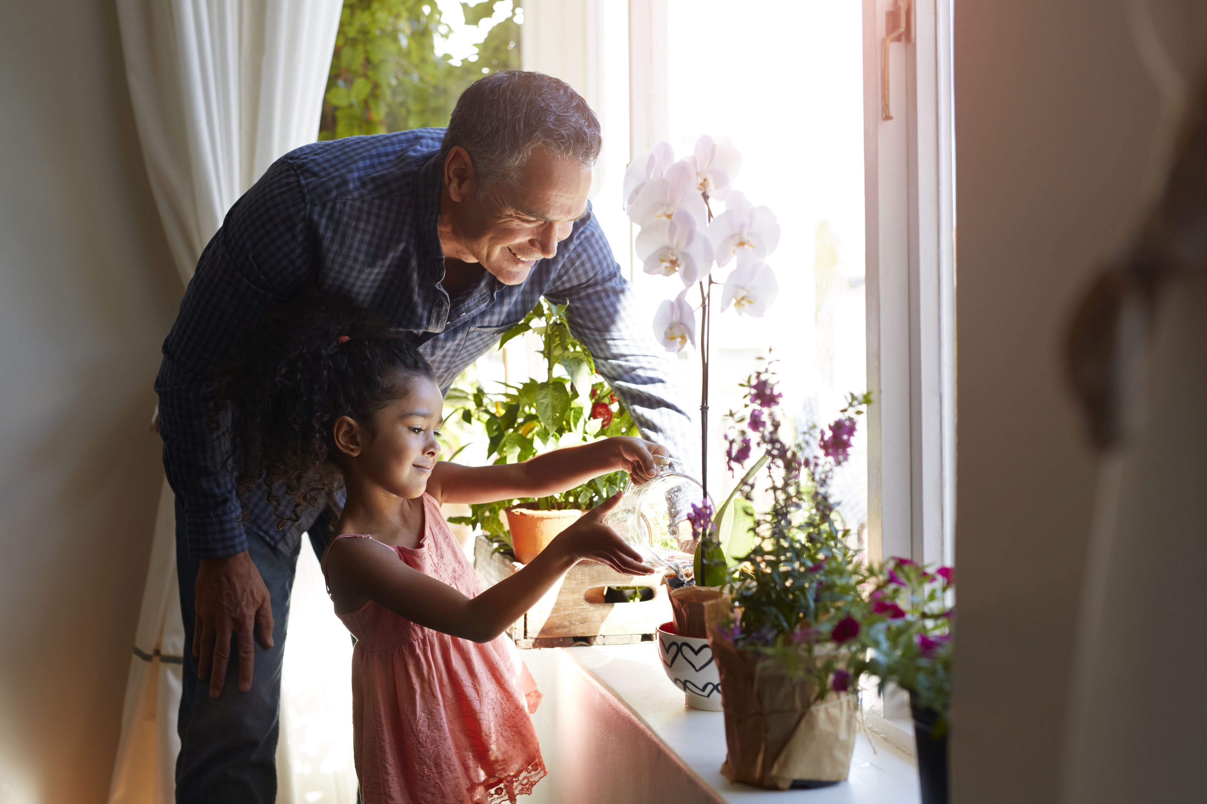 14 Fantastic Silver Vase orchid Care 2024 free download silver vase orchid care of how to water orchids correctly with mature man assisting granddaughter watering plant 564311279 599b7bc3c4124400132a1137