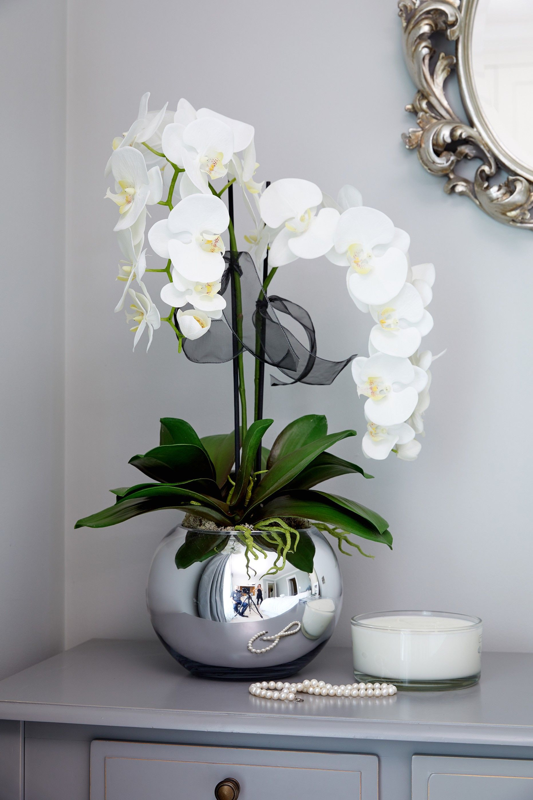 14 Fantastic Silver Vase orchid Care 2024 free download silver vase orchid care of orchids in a silver goldfish bowl accessories pinterest with orchids in a silver goldfish bowl