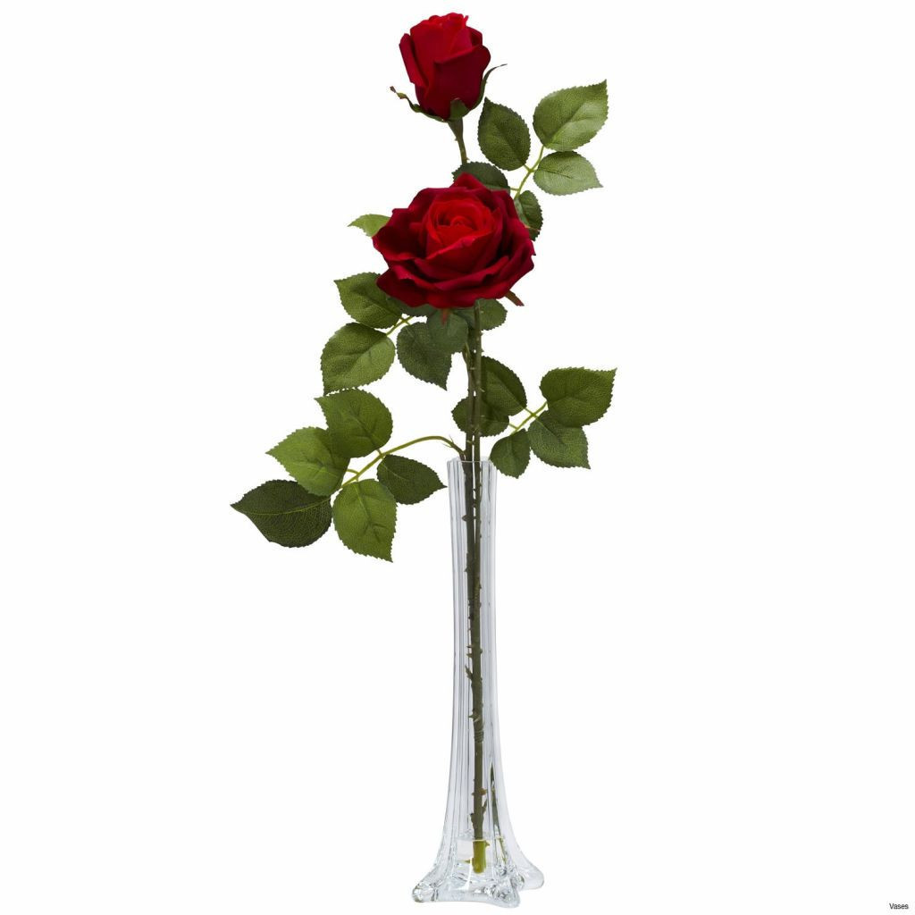 23 Ideal Single Rose In Vase 2024 free download single rose in vase of single flower in vase pics beautiful single flower vaseh vases rose for beautiful single flower vaseh vases rose vasei 0d vase centerpiece