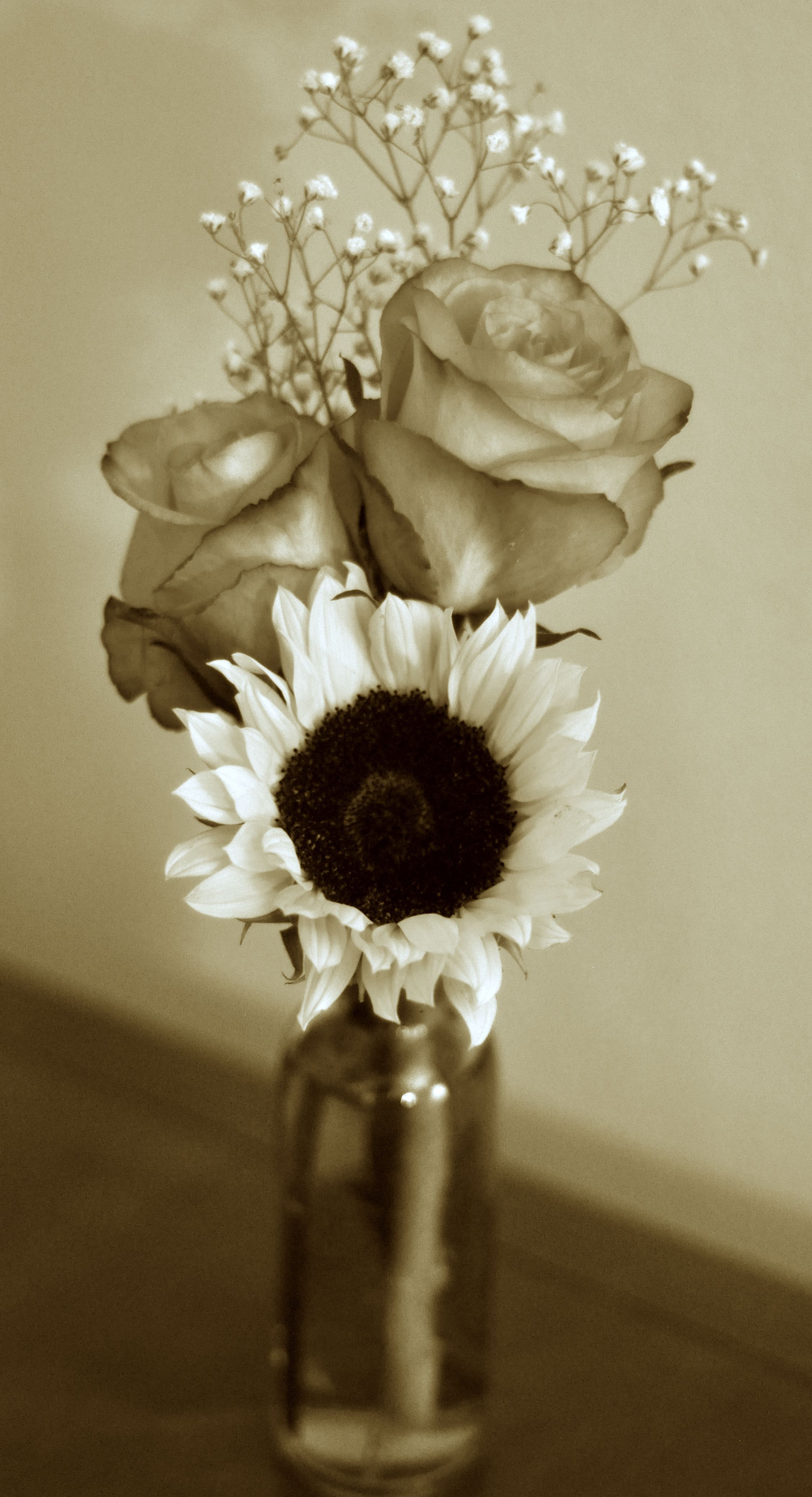 24 Lovable Small Flower Vase 2024 free download small flower vase of flowers fall flowers sunflowers roses bud vase small within flowers fall flowers sunflowers roses bud vase small arrangement black and white