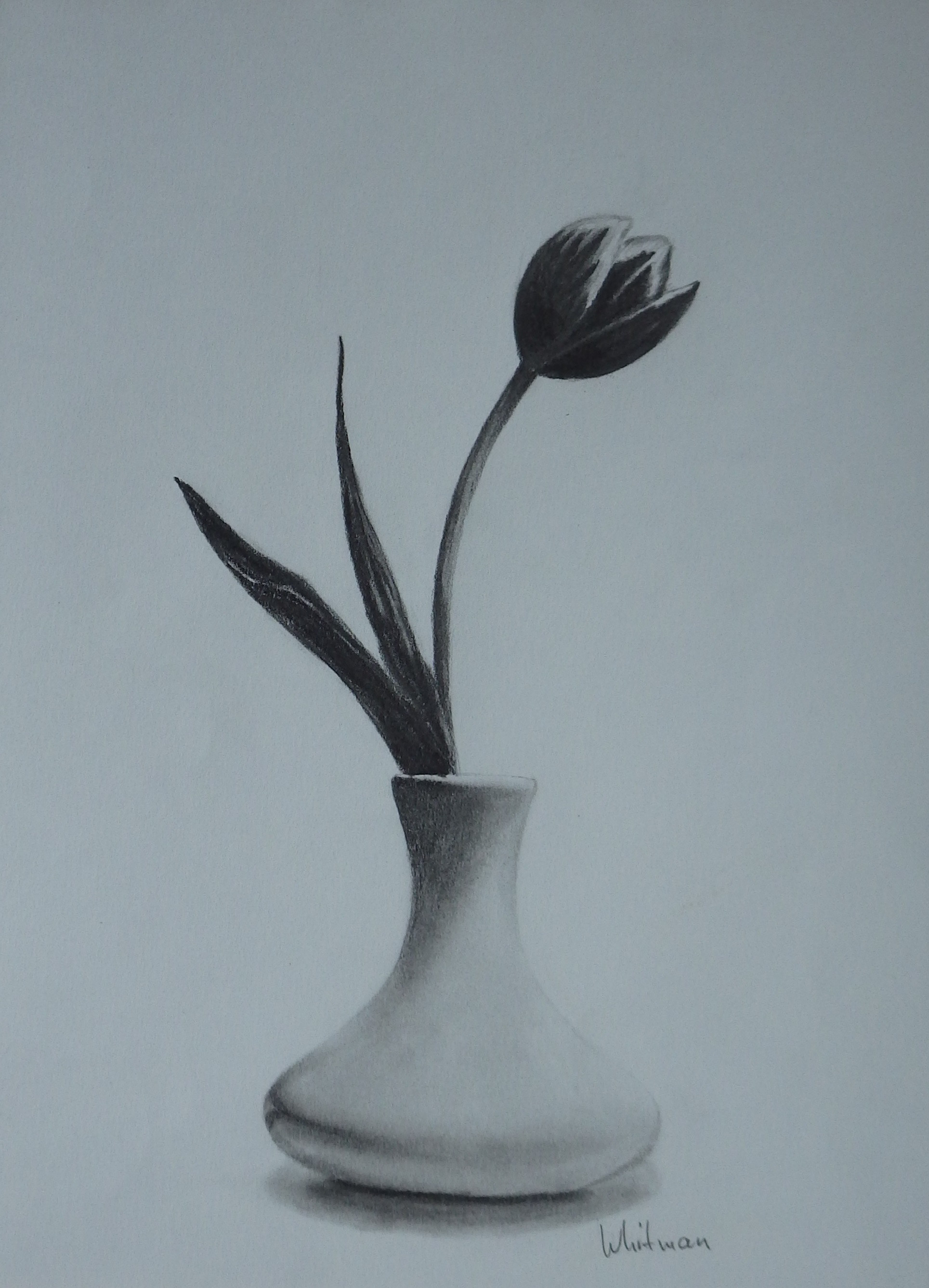 19 Elegant Steel Flower Vase 2024 free download steel flower vase of vase pencil drawing at getdrawings com free for personal use vase in 1929x2673 flower vase sketch drawn vase pencil sketch