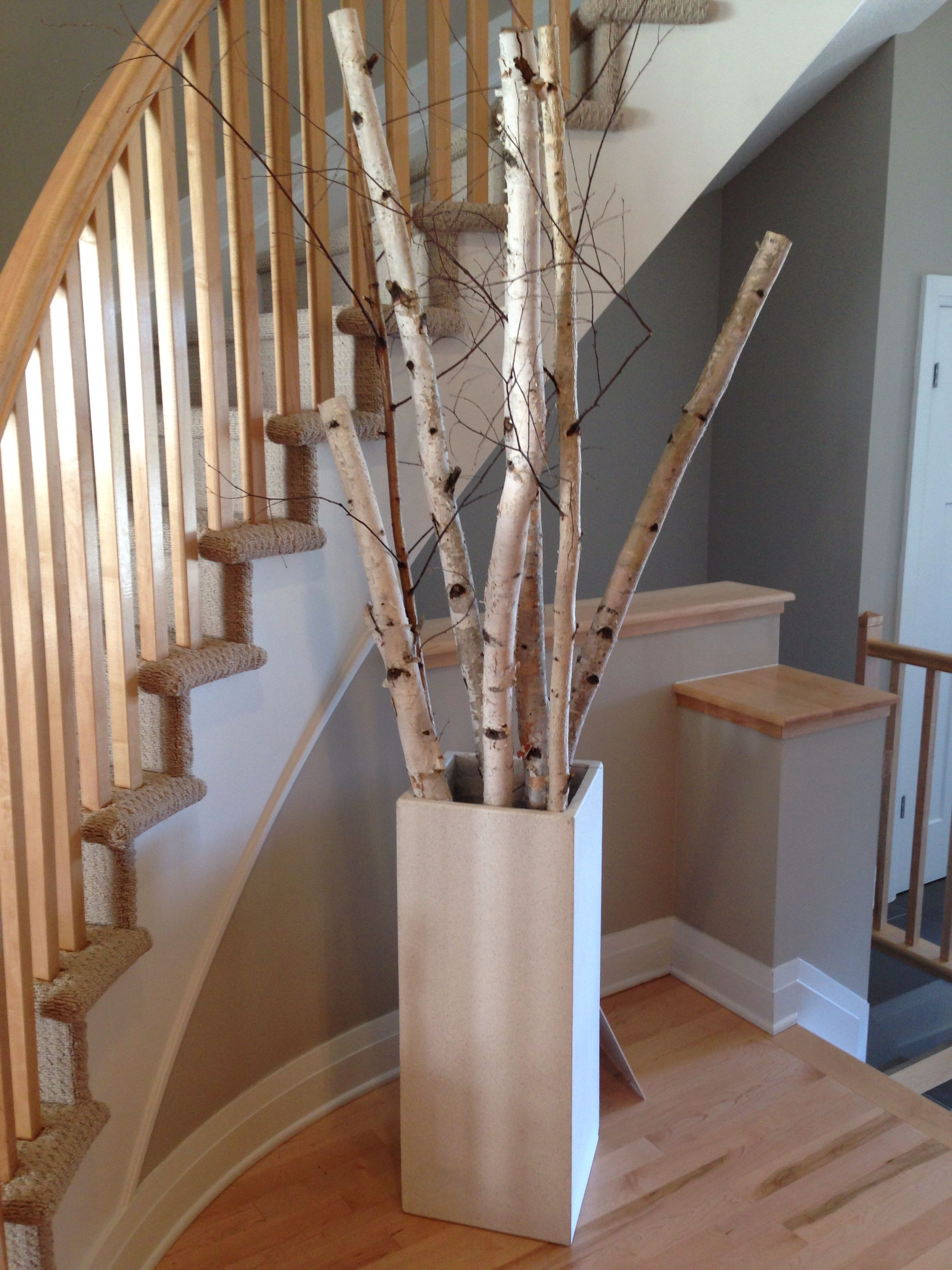 10 Popular Tall Floor Vase with Sticks 2024 free download tall floor vase with sticks of interesting grouping of birch tree branches for the home with regard to interesting grouping of birch tree branches