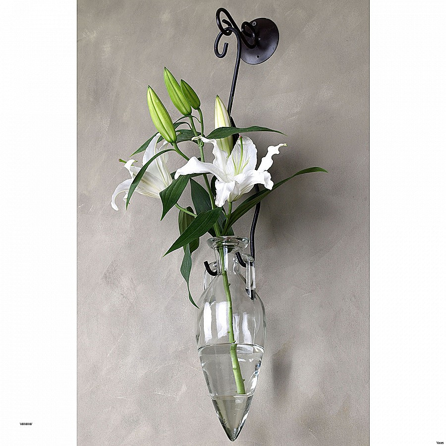 16 Best Tall Glass Vase with Flowers 2024 free download tall glass vase with flowers of wall sconces wall sconce for flowers luxury il fullxfull nny9h in full size of wall sconcesinspirational wall sconce for flowers wall sconce for flowers elega