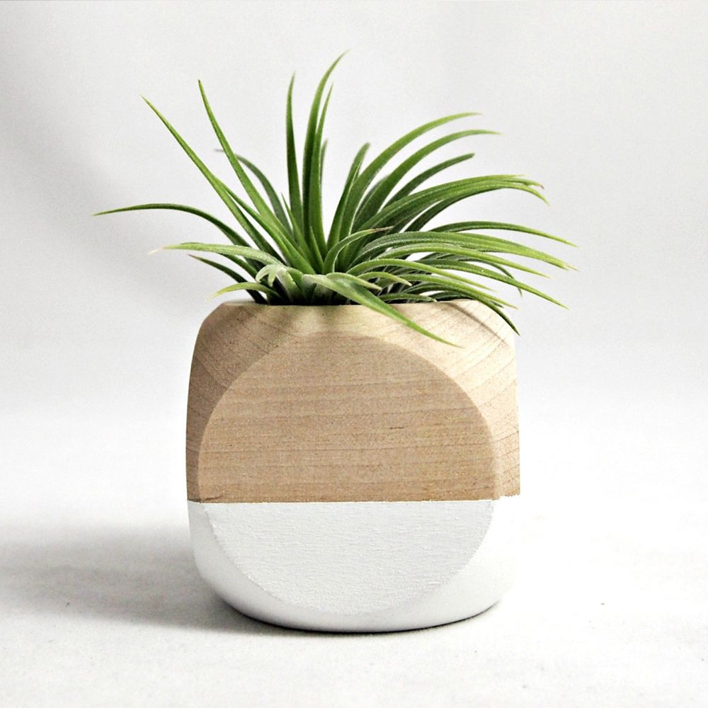 17 Cute Tall Mango Wood Vase 2024 free download tall mango wood vase of photograph of small wooden vase vases artificial plants collection inside small wooden vase collection cube planter in white home decor pinterest of photograph of sma