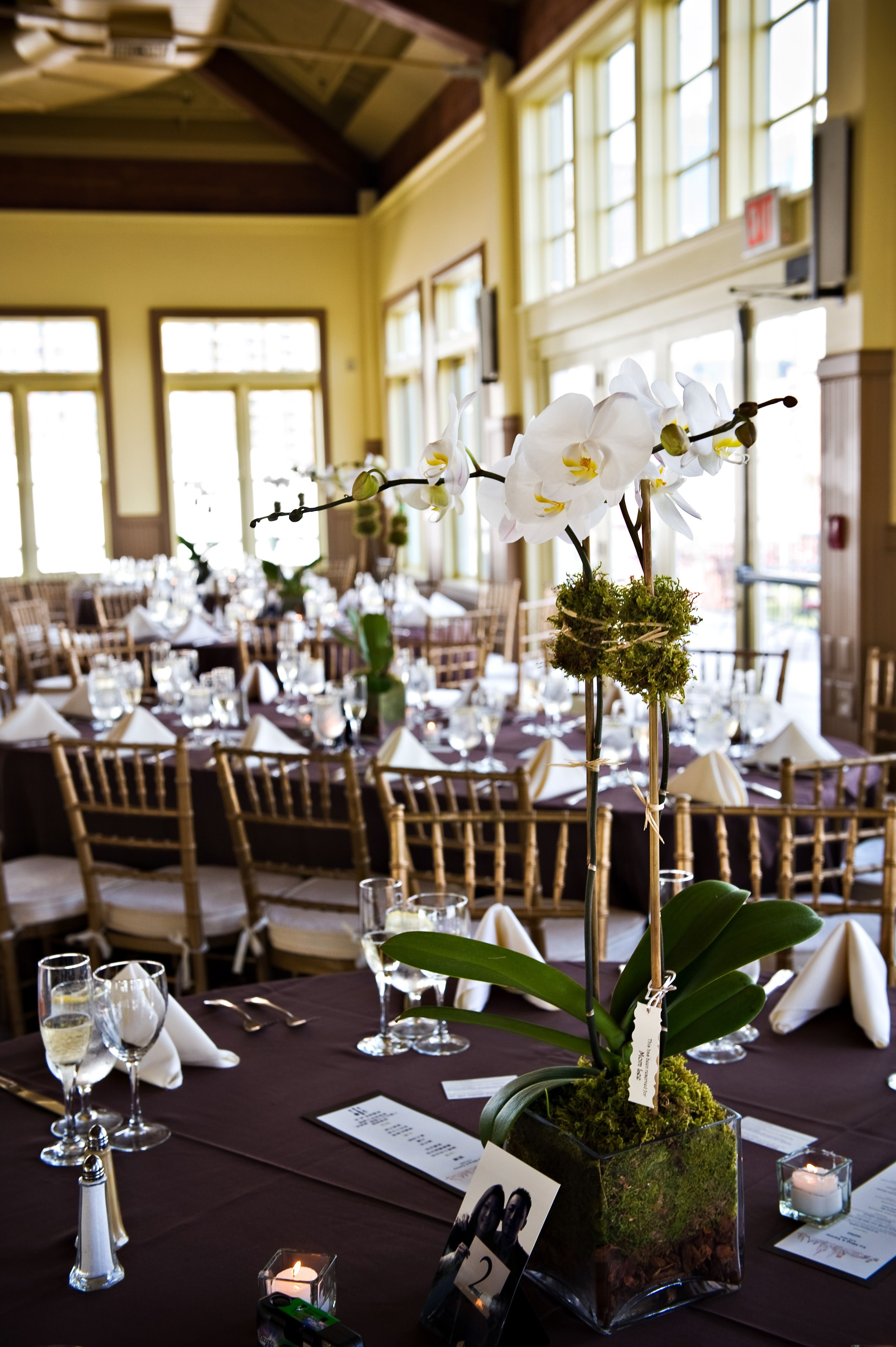 20 Awesome Tall Square Vase Wedding Centerpieces 2024 free download tall square vase wedding centerpieces of orchid in glass vase centre piece inspired by the lowry hotel within orchid in glass vase centre piece inspired by the lowry hotel manchester