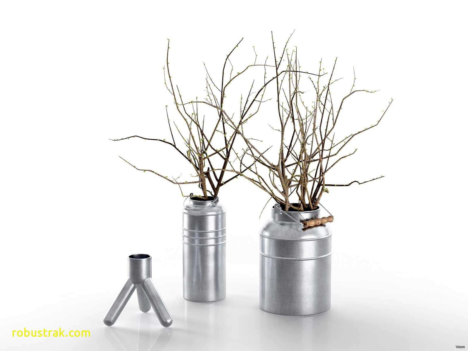 12 attractive Tall Thin Vase 2024 free download tall thin vase of decorative twig tree new dollar tree wedding decorations awesome h with vase i decorative twig tree new 30 new decorative sticks for