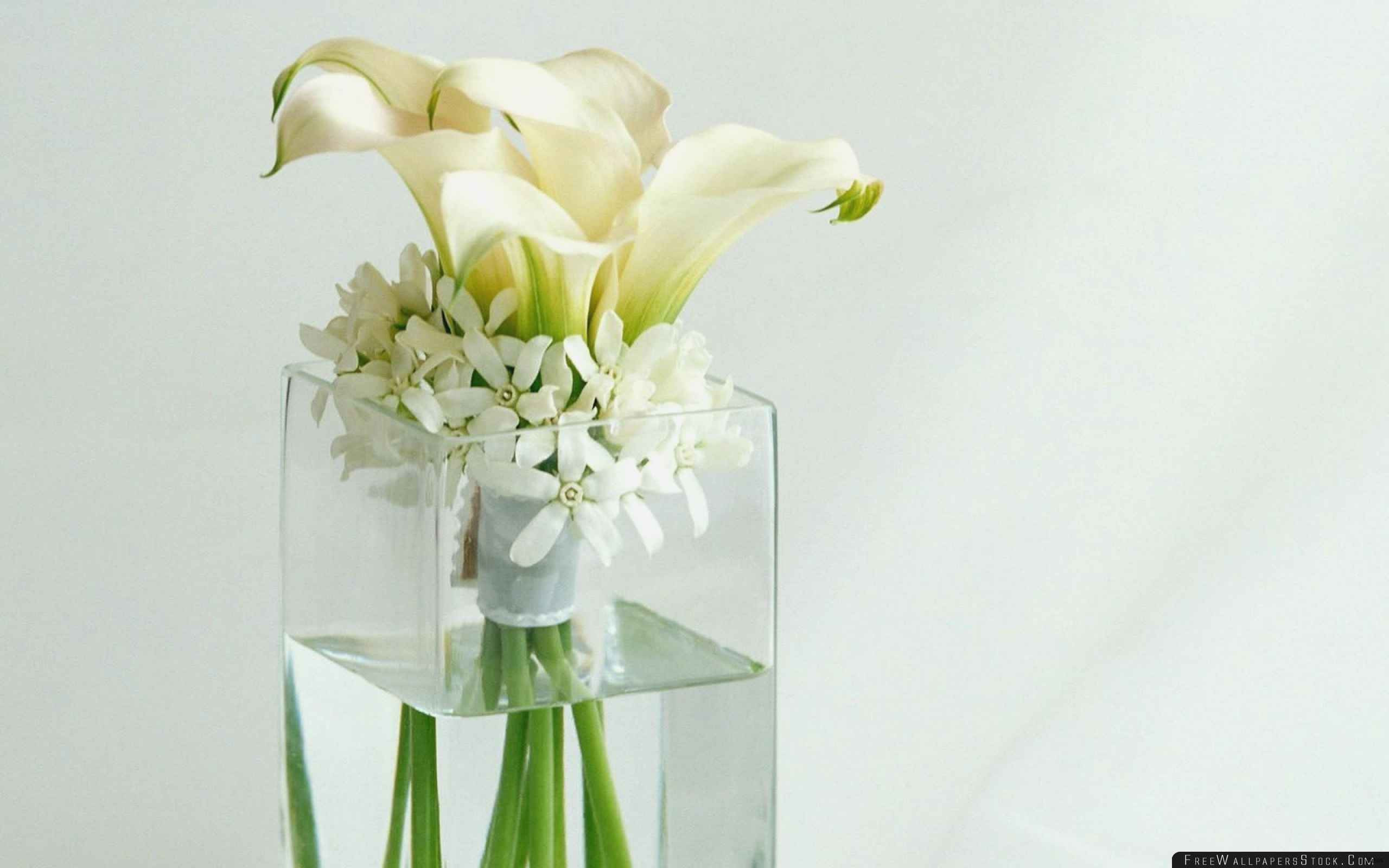 18 Amazing Tall White Flower Vase 2024 free download tall white flower vase of green and white wedding unique tall vase centerpiece ideas vases in green and white wedding unique tall vase centerpiece ideas vases flowers in water 0d artificial