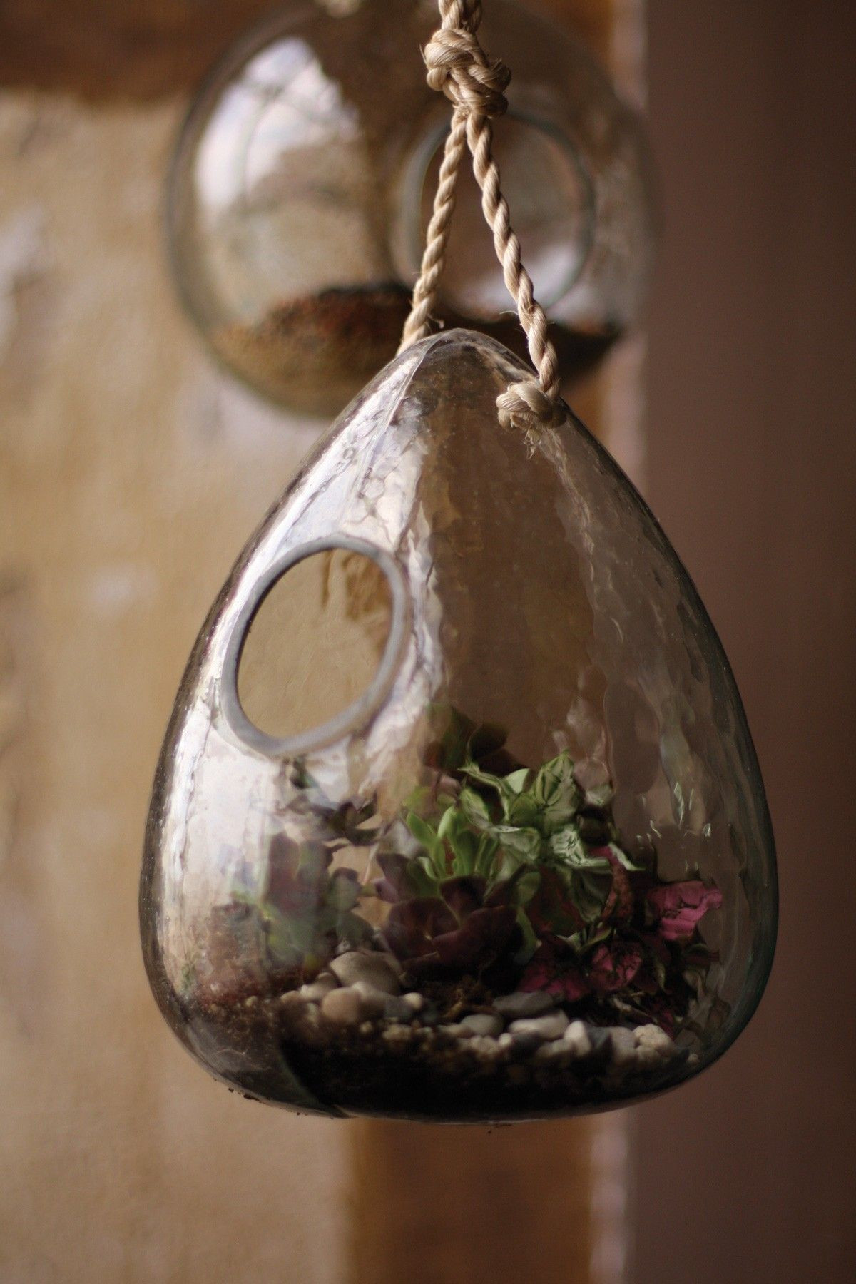 13 Unique Teardrop Glass Vase 2024 free download teardrop glass vase of recycled glass teardrop terrarium im thinking giftie day by for hautelook