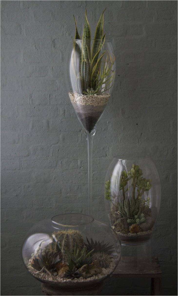 15 Perfect Teardrop Vases Bulk 2024 free download teardrop vases bulk of newest design on succulents in glass vase for use cool living room intended for famous inspiration on succulents in glass vase for use beautiful living room ideas this