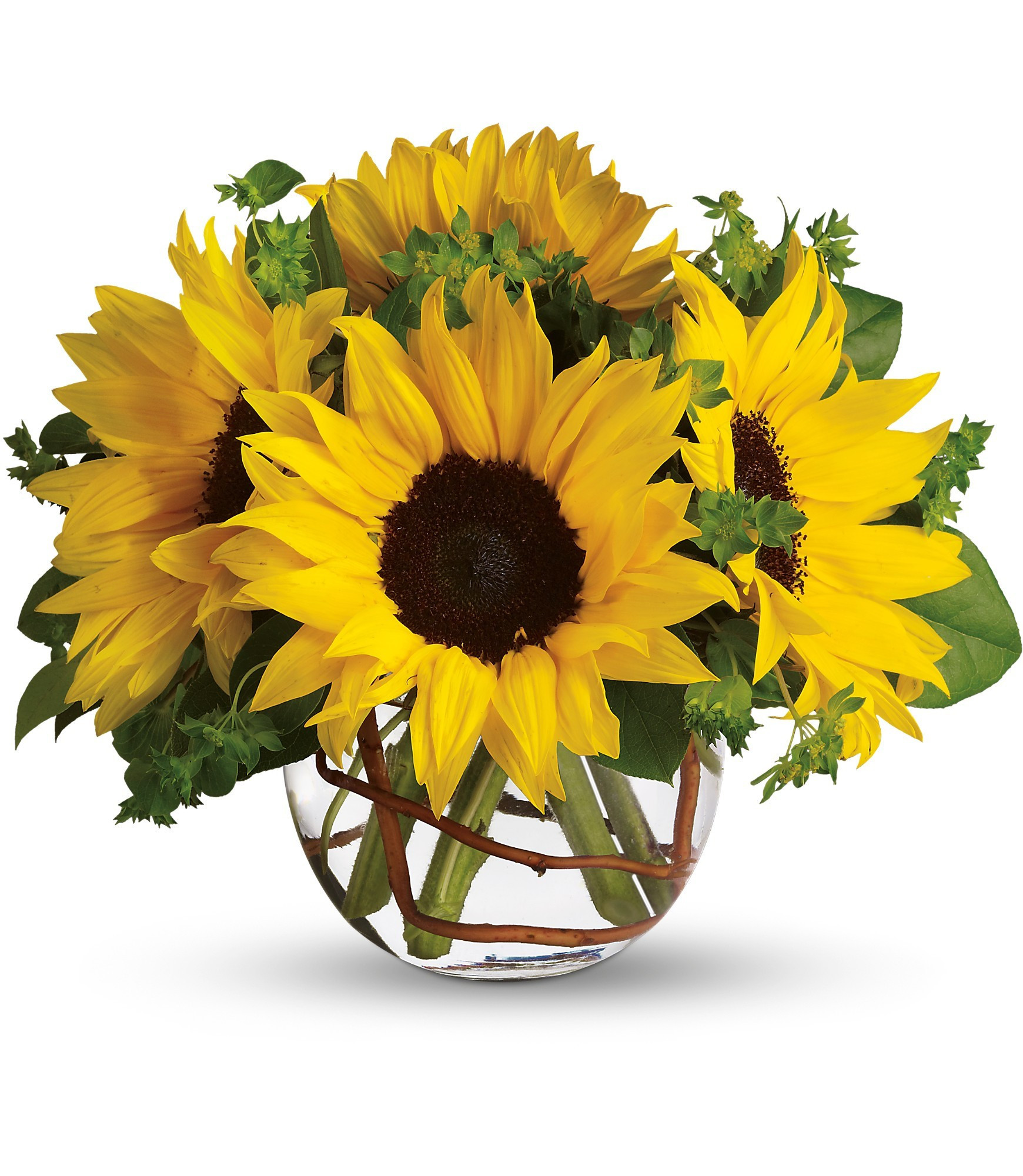 10 Perfect Teleflora Gift Vase 2024 free download teleflora gift vase of sunny sunflower by teleflora in platte city mo platte city inside sunny sunflower by teleflora