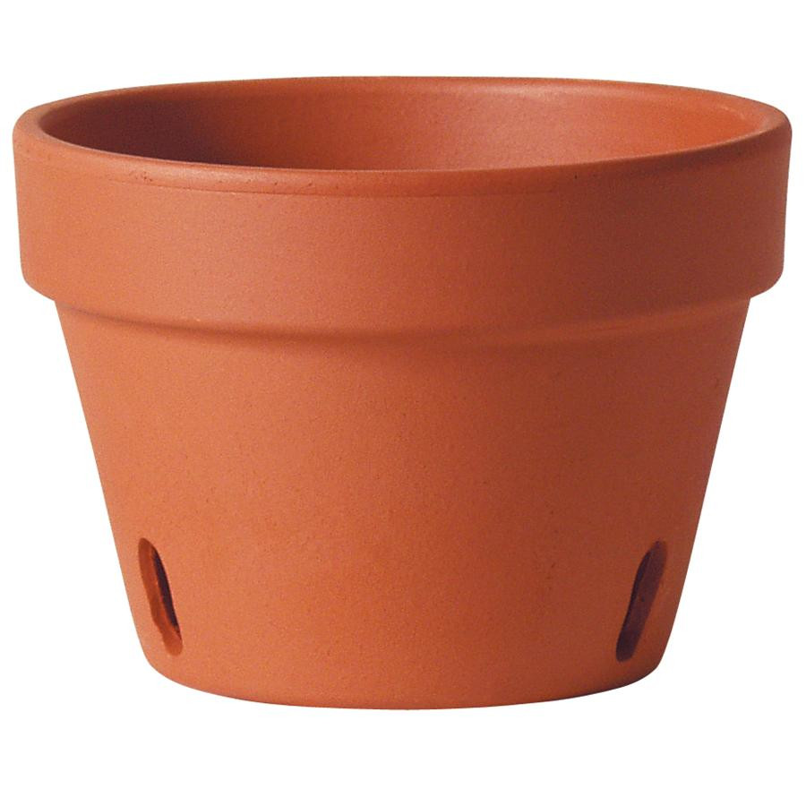 12 Lovable Terracotta Vase for Sale 2024 free download terracotta vase for sale of deroma intended for 14021913093320576orchid