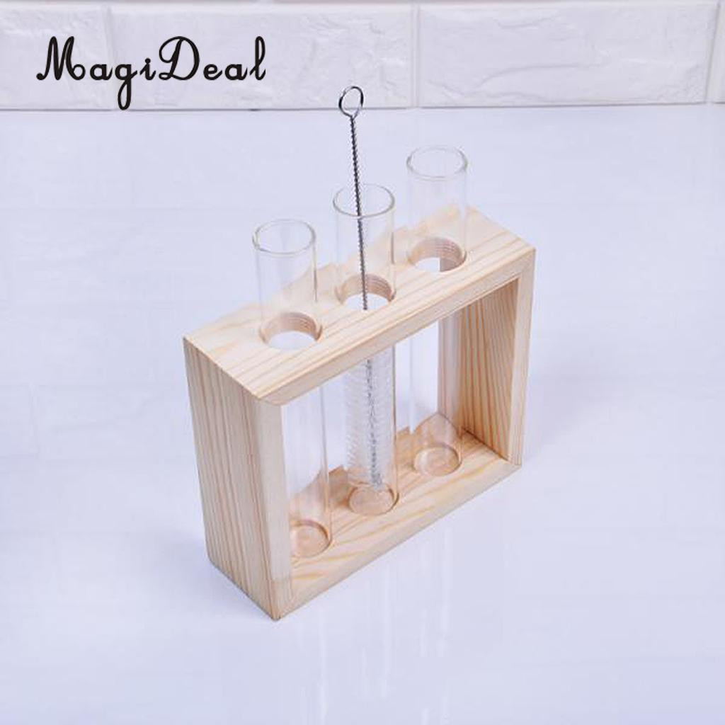 29 Lovely Test Tube Bud Vases In Rack 2024 free download test tube bud vases in rack of megideal crystal glass test tube vase in wooden stand for flowers for megideal crystal glass test tube vase in wooden stand for flowers plants decoration with 